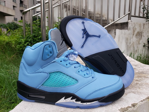 Air Jordan 5-234